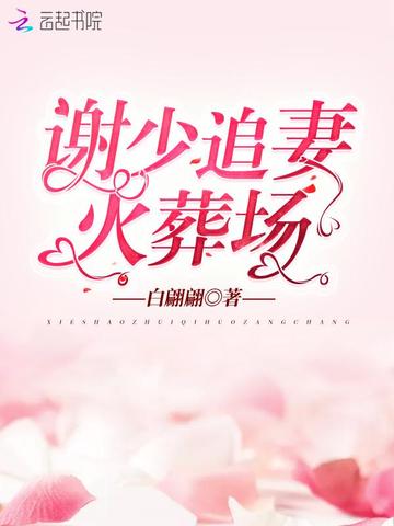 谢少追妻火葬场