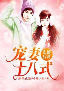 先婚后爱：宠妻十八式