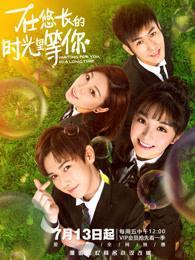 在悠长的时光里等你（张永博、田曦薇主演同名影视原著）