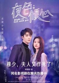 夜色倾心（刘些宁、管栎主演同名影视原著）