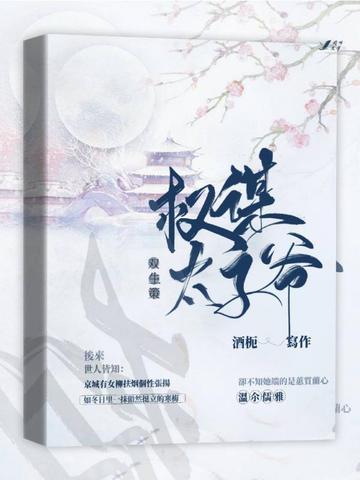 双生策：权谋太子爷