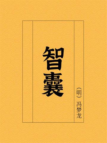 智囊